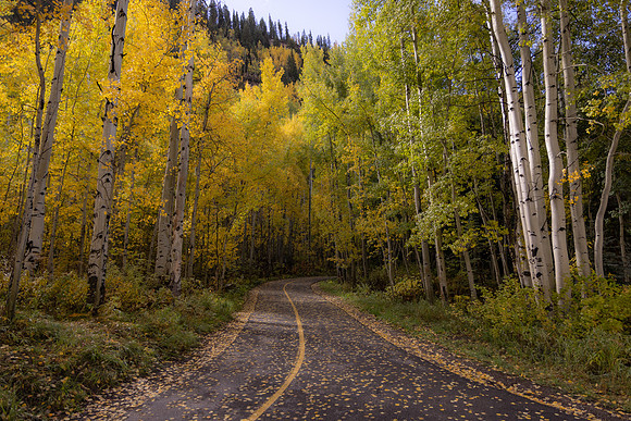 Vail Painting (landscape)