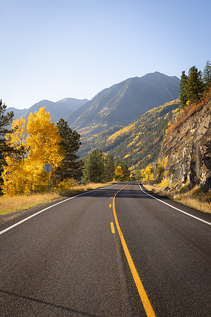 Fall and winding road