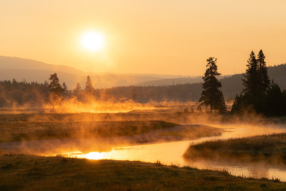 Yellow Stone Steam