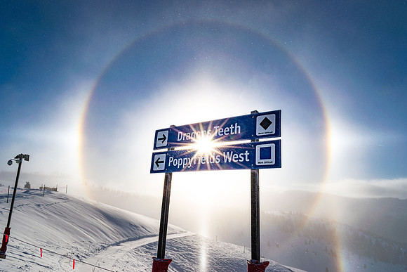 Back Bowl Sun Dog