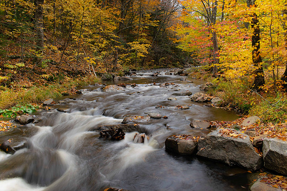 Maine Fall Scene