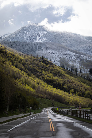 Late Spring Snow